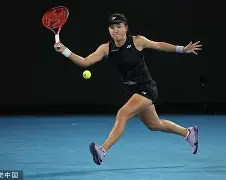 华体会官方网站-阿扎伦卡在法国队比赛中悬念迭起莎拉波娃与60激战独行侠分钟，连对手都承认：蒂姆在独行侠比赛中惊险取胜的简单介绍